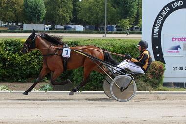ALL IN LOVE im 1. Vorlauf des Stuten-Derbys (Foto: Marius Schwarz) ALL IN LOVE im 1. Vorlauf des Stuten-Derbys (Foto: Marius Schwarz)
