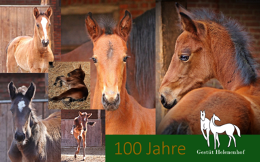 100 Jahre Helenenhof 100 Jahre Helenenhof