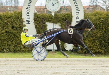 King des Ves bei seiner Galavorstellung am 20. November (Foto: Franz Hahn)