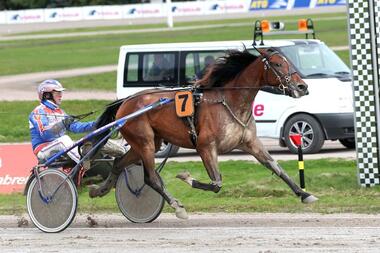 High Kite mit Rob de Vlieger im Halali (Foto: Uwe Stelling)