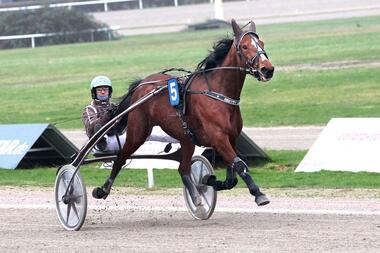 Gestüt Lasbeks Phillys mit Josef Franzl beim Sieg am 6. Dezember (Foto: Uwe Stelling) Gestüt Lasbeks Phillys mit Josef Franzl beim Sieg am 6. Dezember (Foto: Uwe Stelling)