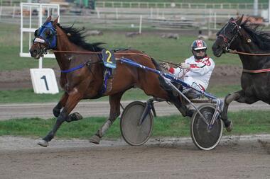 Mister Joni H am Sonntag wieder unter Order (Foto: Marius Schwarz) Mister Joni H am Sonntag wieder unter Order (Foto: Marius Schwarz)