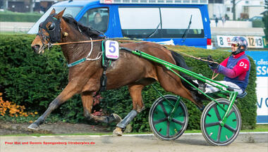 750. Sieg für Dennis Spangenberg