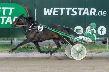 Der Karlshorster Vize-Champion Victor Gentz steigt fünf Mal in den Sulky (Foto: traberpixx.de) Der Karlshorster Vize-Champion Victor Gentz steigt fünf Mal in den Sulky (Foto: traberpixx.de)