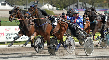 Quick Lady mit Rolf Hafvenström (Foto: Marius Schwarz) Quick Lady mit Rolf Hafvenström (Foto: Marius Schwarz)