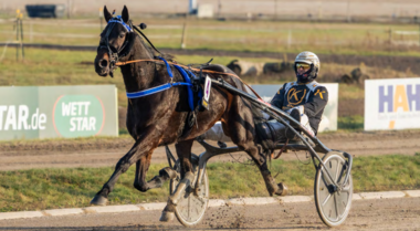 Joyeux Well - Karlshorst Traber des Jahres 2025 (Foto: traberpixx.de)