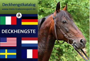 (Foto: gestuet-helenenhof.de) (Foto: gestuet-helenenhof.de)