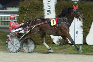 Erneut souverän: Stall Tamaras Sir Gustav mit Georg Frick (fotofinish.de)