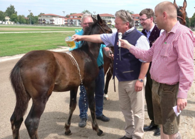Bei seinem ersten Besuch auf der Straubinger Rennbahn im August 2017 wurde Sir Aragon SR vom damaligen Landwirtschaftsminister Helmut Brunner getauft. Der Dreijährige gibt nun am Samstag sein Renndebüt in der Auftaktprüfung. (Foto: Wilfried Schaffrath)