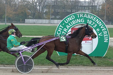 Valesco könnte 2026 der erste Straubinger Sieger sein (Foto: Melanie Bäumel-Schachtner)