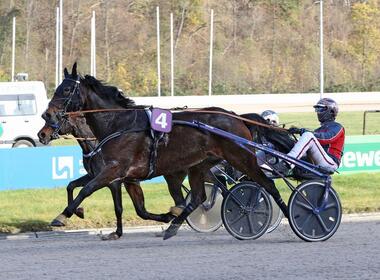 Gian Luca Pasel mit Marciano Hauber beim GE-Sieg am 23. November (traberfoto-sx.de) Gian Luca Pasel mit Marciano Hauber beim GE-Sieg am 23. November (traberfoto-sx.de)