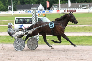 Blizzard Diamant bei seinem Hamburger Erfolg am 8. Juni (Foto: Uwe Stelling) Blizzard Diamant bei seinem Hamburger Erfolg am 8. Juni (Foto: Uwe Stelling)