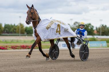 Utkieker vor dem Derby-Finale 2025 (Foto: traberpixx.de)