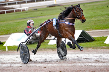 Artful Honey und Nick Schwarma eröffneten die Hamburger Saison (Foto: Uwe Stelling)