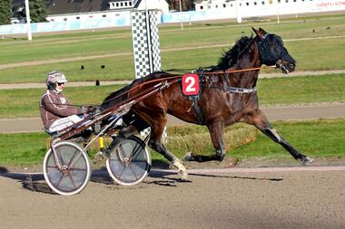 Lasbeks Somerset bei seinem 15,1-Run am 8. Januar (Foto: Uwe Stelling)