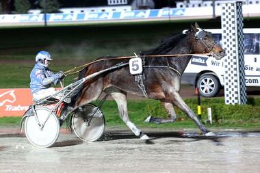 Jacky Bros mit Thomas Panschow (Foto: Uwe Stelling) Jacky Bros mit Thomas Panschow (Foto: Uwe Stelling)