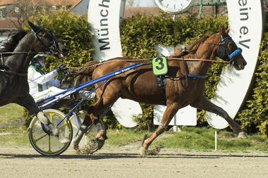 Cachamour vor Tyrolean Dream (fotofinish.de) Cachamour vor Tyrolean Dream (fotofinish.de)