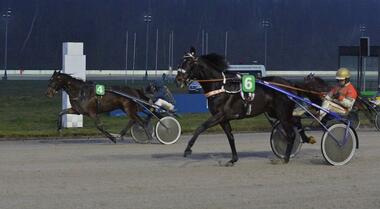 Free Bird (6) springt, Casanova d'Amour gewinnt Free Bird (6) springt, Casanova d'Amour gewinnt