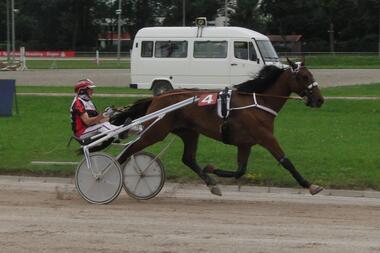 Erster Sieger für das neue Fischer/Schub-Team: Casino Royale (Foto: H. Boiger)