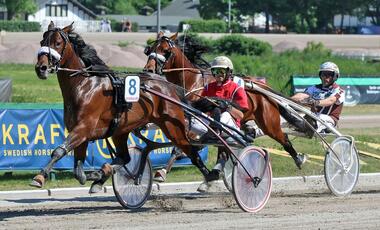 Go for Gold bei einem Berliner Sieg mit Kornelius Kluth (Foto: Marius Schwarz) Go for Gold bei einem Berliner Sieg mit Kornelius Kluth (Foto: Marius Schwarz)
