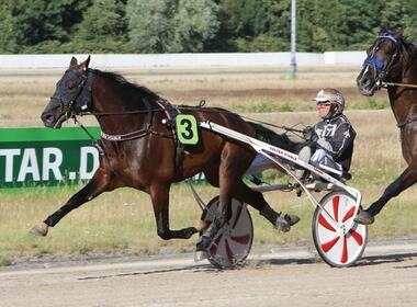 Velten von Flevo - hier im Vorjahr mit Rick Ebbinge © traberfoto-sx.de