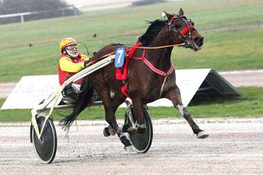 Jani Rosenberg und Caviar's Dream eröffneten die Hamburger Saison (Foto: Uwe Stelling) Jani Rosenberg und Caviar's Dream eröffneten die Hamburger Saison (Foto: Uwe Stelling)