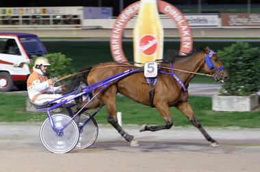 Hannah Hazelaar erstmals in unter dem Sattel © traberfoto-sx.de Hannah Hazelaar erstmals in unter dem Sattel © traberfoto-sx.de