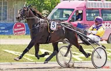 Tyrolean Dream mit Rudi Haller bei einem Mariendorfer Sieg 2017 (Foto: Marius Schwarz) Tyrolean Dream mit Rudi Haller bei einem Mariendorfer Sieg 2017 (Foto: Marius Schwarz)
