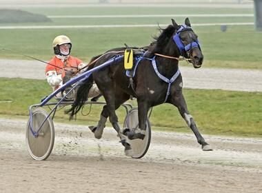 Jenna Transs R ist die erste Fahrt seit langem für Thomas Maaßen (Foto: Sabine Sexauer) Jenna Transs R ist die erste Fahrt seit langem für Thomas Maaßen (Foto: Sabine Sexauer)