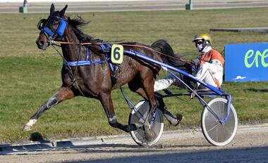 Mit Favori de la Basle markiert Michael Nimczyk seinen ersten von vier Tagestreffern - © Wilms Mit Favori de la Basle markiert Michael Nimczyk seinen ersten von vier Tagestreffern - © Wilms