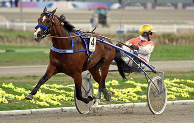 Orkan von Haithabu mit dem fünffachen Tagessieger Michael Nimczyk (Foto: Marius Schwarz)