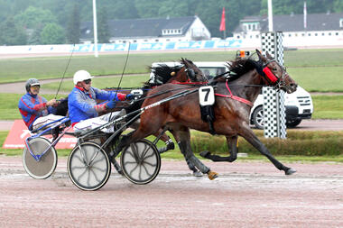 Mit Shake that Heaven beendet Carsten Abel eine lange Durststrecke (Foto: Uwe Stelling)