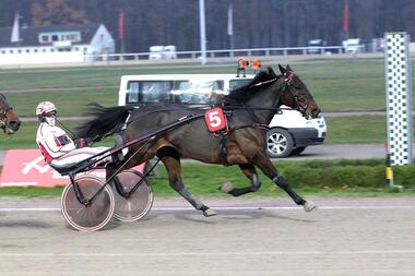 Mit Vice Versa Diamant eröffnet Robin Bakker seinen Hattrick (Foto: Uwe Stelling)