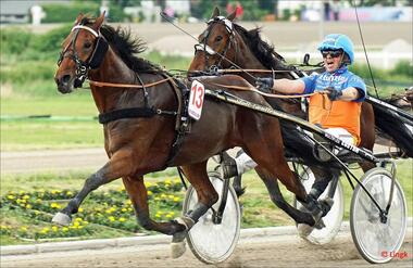 Virginias Prime bei einem Sieg mit Thomas Panschow im Mai 2019 (Foto: Heiko Lingk) Virginias Prime bei einem Sieg mit Thomas Panschow im Mai 2019 (Foto: Heiko Lingk)