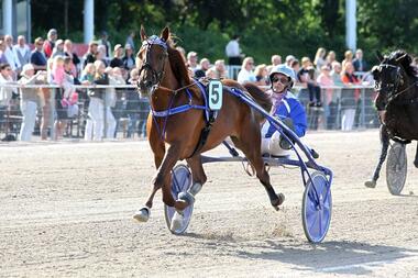 Der Doppel-Champion Stefan Hiendlmeier mit Miss Red Lady (Foto: Uwe Stelling) Der Doppel-Champion Stefan Hiendlmeier mit Miss Red Lady (Foto: Uwe Stelling)