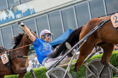 Michel Rothengatter jubelt auch im Deutschen Traber-Derby (Foto: Marius Schwarz)