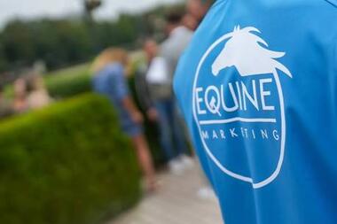 Derby-Auktion 2026: Die nächste Chance für Ihren Erfolg!