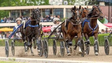 Wer wird Nachfolger von Summermusic'night S? (Foto: traberpixx.de)