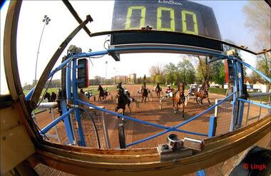 Derby-Meeting: Schlemmen, wetten, jubeln! Derby-Meeting: Schlemmen, wetten, jubeln!