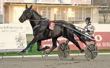 Prosperous mit Jaap van Rijn bei einem Gastspiel in Berlin (Foto: Marius Schwarz)