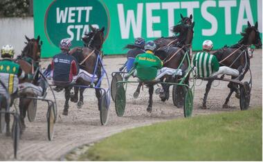 Die letzten Qualifier zum Dreijährigen-Kriterium