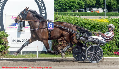 Wellerman greift im Buddenbrock nach den Sternen (Foto: traberpixx.de)