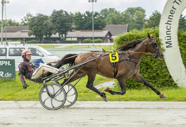 Lukas Strobl gewann mit Be the One (Foto Franz Hahn) und Yucatan Diamant Lukas Strobl gewann mit Be the One (Foto Franz Hahn) und Yucatan Diamant