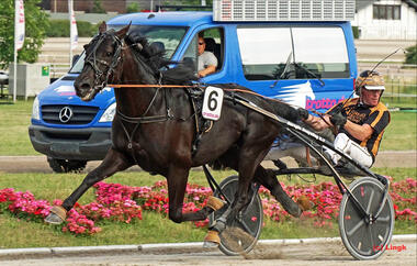 Gio Cash beim 11,2-Sieg im Adbell Toddington (Foto: Heiko Lingk) Gio Cash beim 11,2-Sieg im Adbell Toddington (Foto: Heiko Lingk)