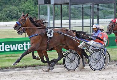 Massai und Tom Kooyman streben den ersten Jahressieg an - © traberfoto-sx Massai und Tom Kooyman streben den ersten Jahressieg an - © traberfoto-sx