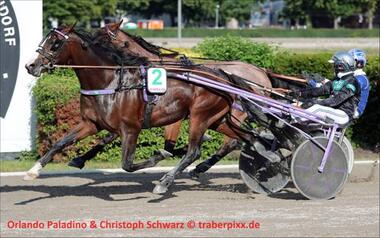 Dreijährigen-Kriterium: Nächster Stopp Gelsenkirchen