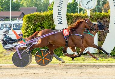 So war es vor einem Monat: Duke of New York knapp vor Sokrates (Foto: Franz Hahn) So war es vor einem Monat: Duke of New York knapp vor Sokrates (Foto: Franz Hahn)