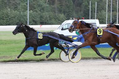 Amon Wise As mit Erwin Bot © traberfoto-sx.de