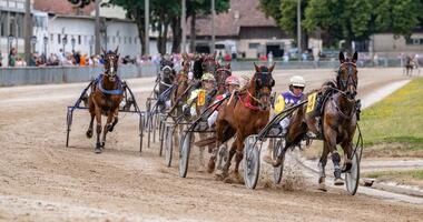 Itturia auf dem Weg zum Sieg bei den Trotteur Français (Fotos: A. Weigel)