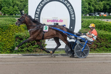 Nur Fliegen ist schöner - Jimmy Ferro BR in 1:09,5 (Foto: traberpixx.de) Nur Fliegen ist schöner - Jimmy Ferro BR in 1:09,5 (Foto: traberpixx.de)